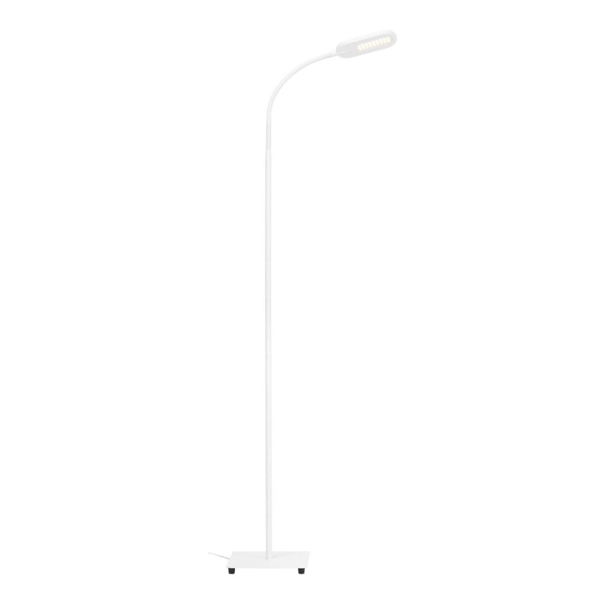 Briloner 1297-016 – LED Ljusreglerad beröring golvlampa LED/8W/230V 3000/4000/6000K