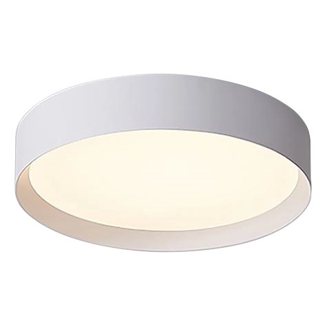 LED2 – LED Dimbart takarmatur MILA LED/30W/230V
