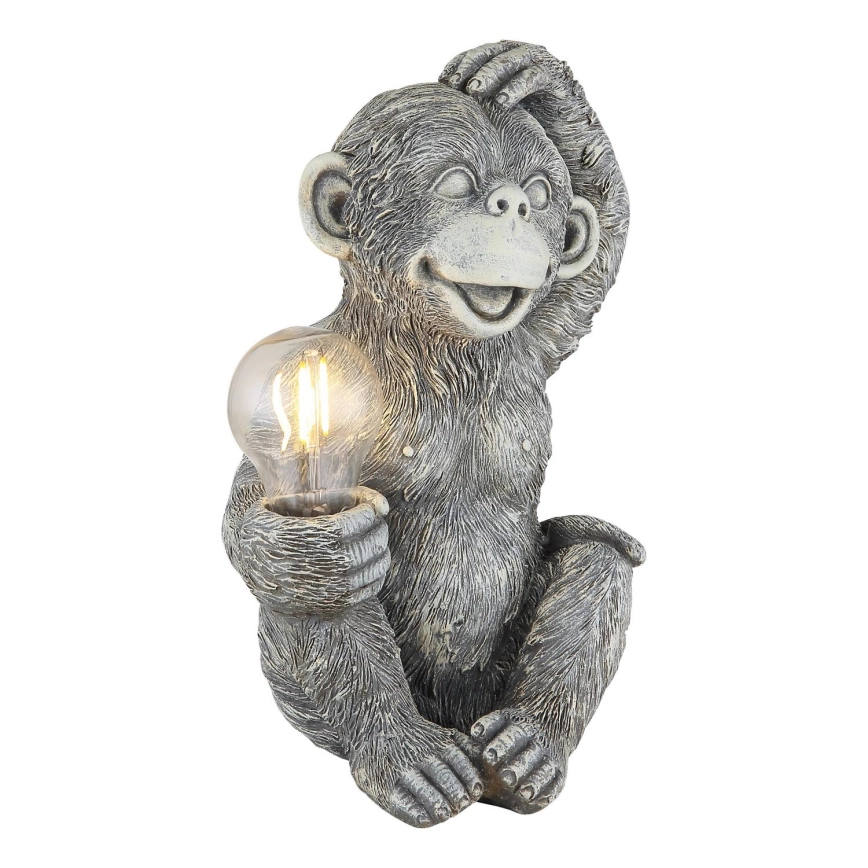 Globo – LED Solcell dekoration LED/0,02W/3V IP44 apa