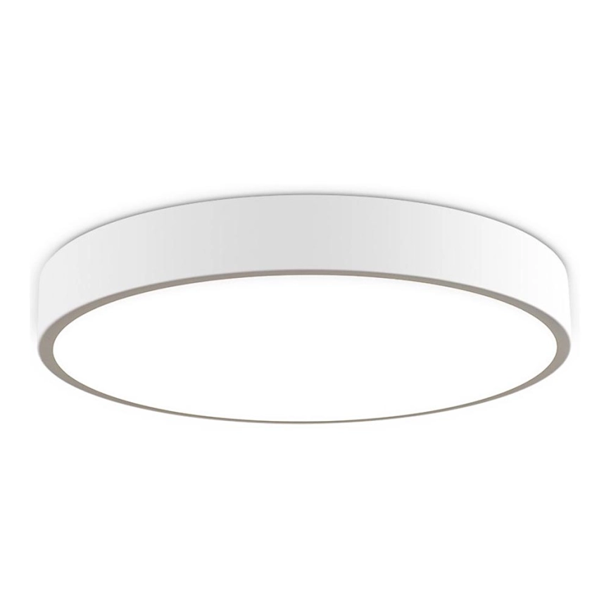 LED2 – LED Dimbart takarmatur MONO LED/100W/230V 3000K/4000K vit
