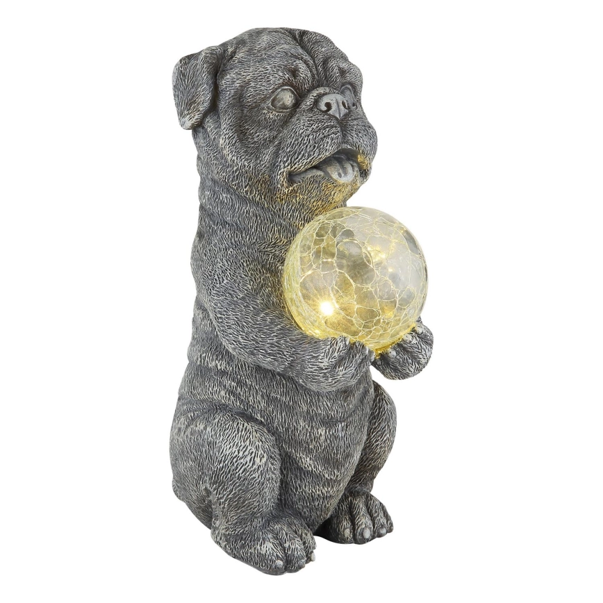 Globo – LED solardekoration LED/0,02W/3V IP44 300 mAh hund