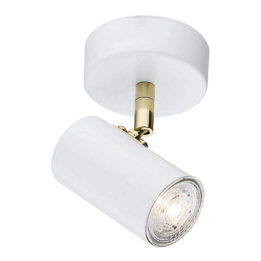 Argon 4209 – Takpotlight LAGOS 1xGU10/5W/230V vit/guld
