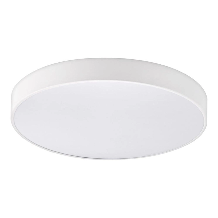 Top Light – LED ljusreglerad taklampa till badrum PETAL LED/48W/230V IP44 3000-6500K diameter 48 cm vit + fjärrkontroll
