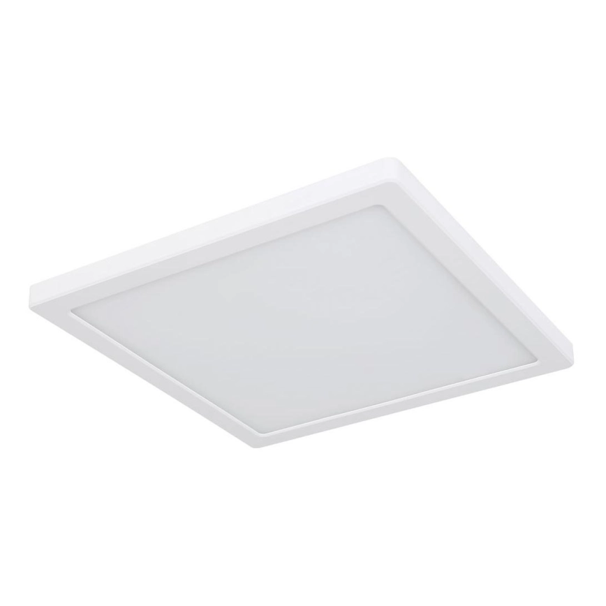 Globo  – LED Taklampa LASSE LED/24W/230V 3000/4000/6500K vit