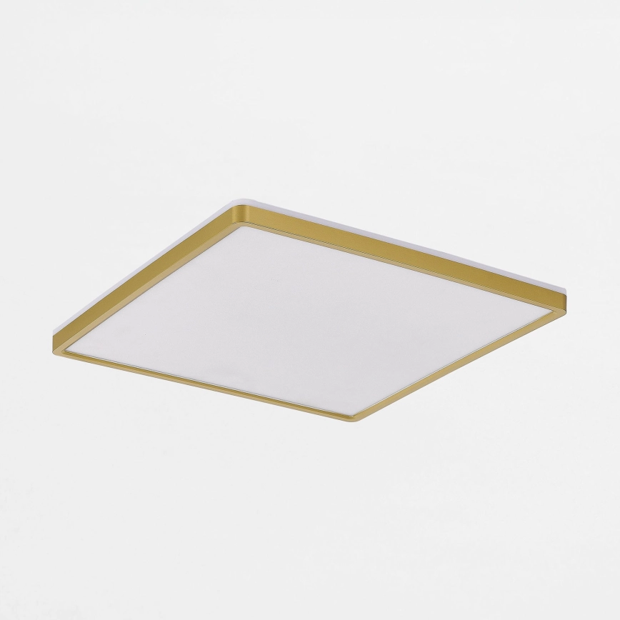 Zuma Line – LED Dimbar taklampa LED/38W/230V + LED/12W 3000/4000/5500K 40×40 cm guld