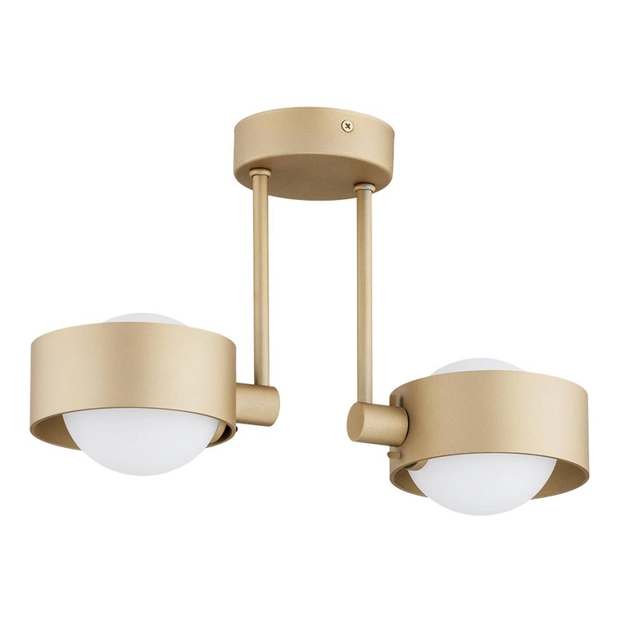 Argon 7215 – Badrum hängande ljuskrona MASSIMO PLUS 2xG9/6W/230V IP44 guld