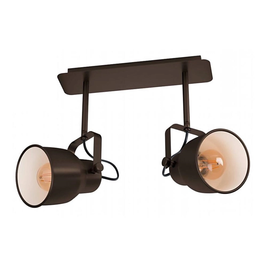 Eglo 43386 – Spotlight MITCHLEY 2xE27/40W/230V