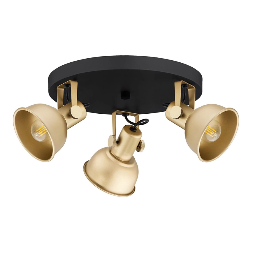 Argon 6243 – Spotlight LENORA 3xE14/7W/230V guld/svart