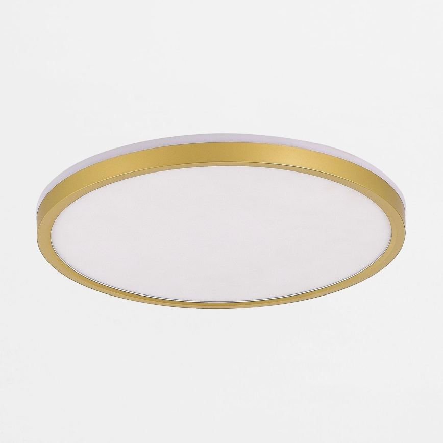 Zuma Line – LED Dimbar taklampa LED/38W/230V + LED/11W 3000/4000/5500K diameter 50 cm guld