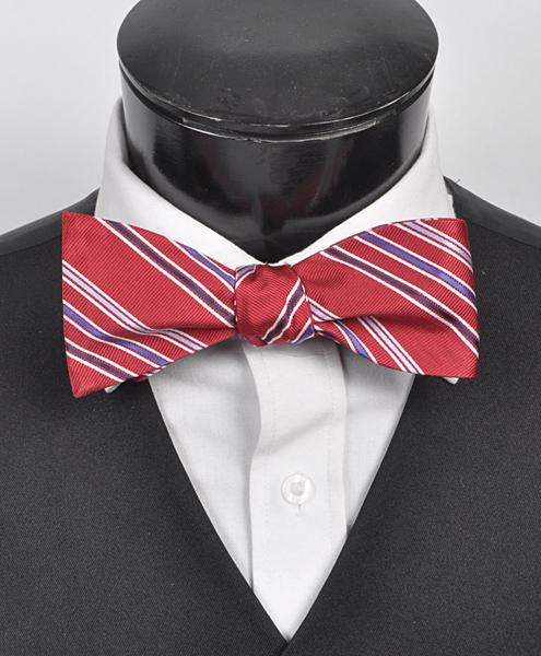Butterfly Silk Self Tie – Super Stripes – Röd