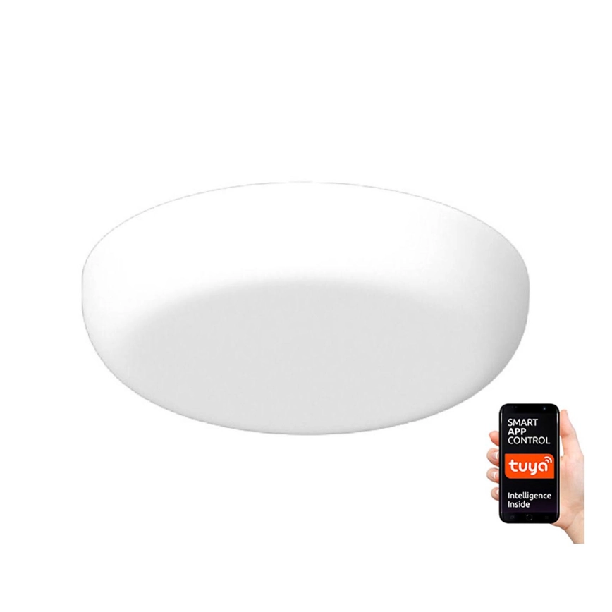Immax NEO 07109K – LED Dimbar infälld Badrumbelysning PRACTICO LED/24W/230V