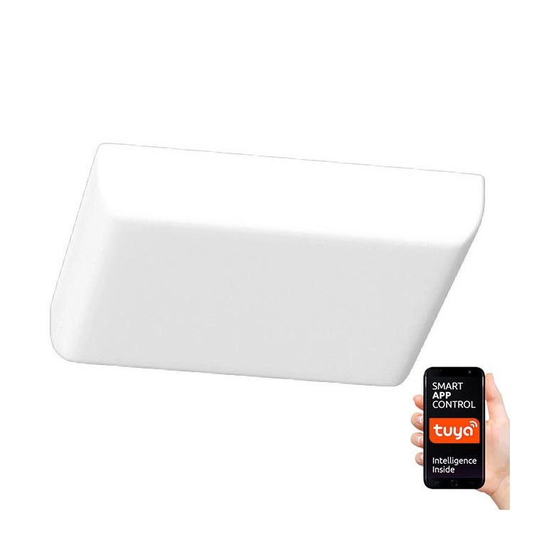 Immax NEO 07110K – LED Dimbar infälld Badrumbelysning PRACTICO LED/24W/230V