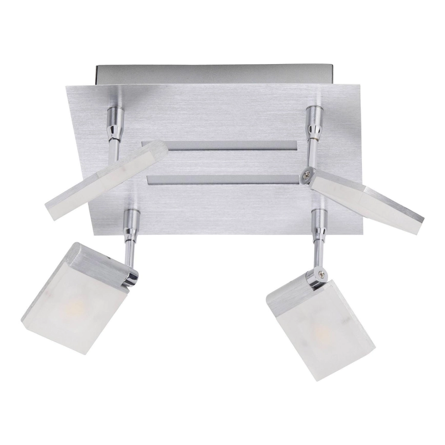 Brilliant – LED Spotlight PLAXICO 4xLED/6W/230V