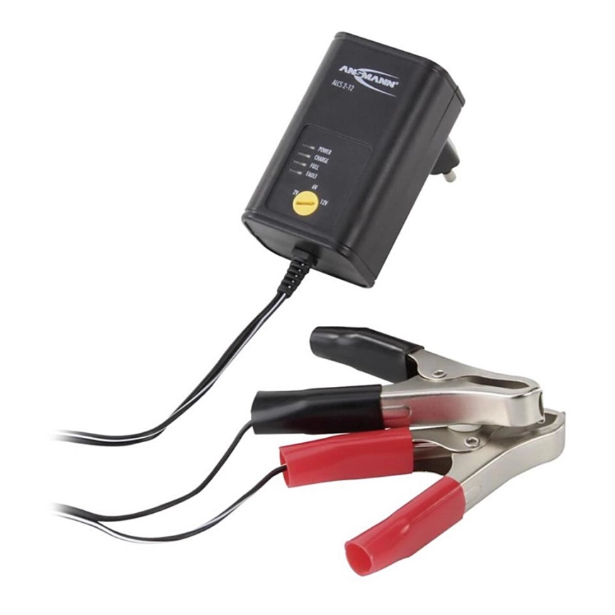 Ansmann 11496 – ALCS 2-12/0,4 – Batteriladdare 2-12V/1,2-40Ah