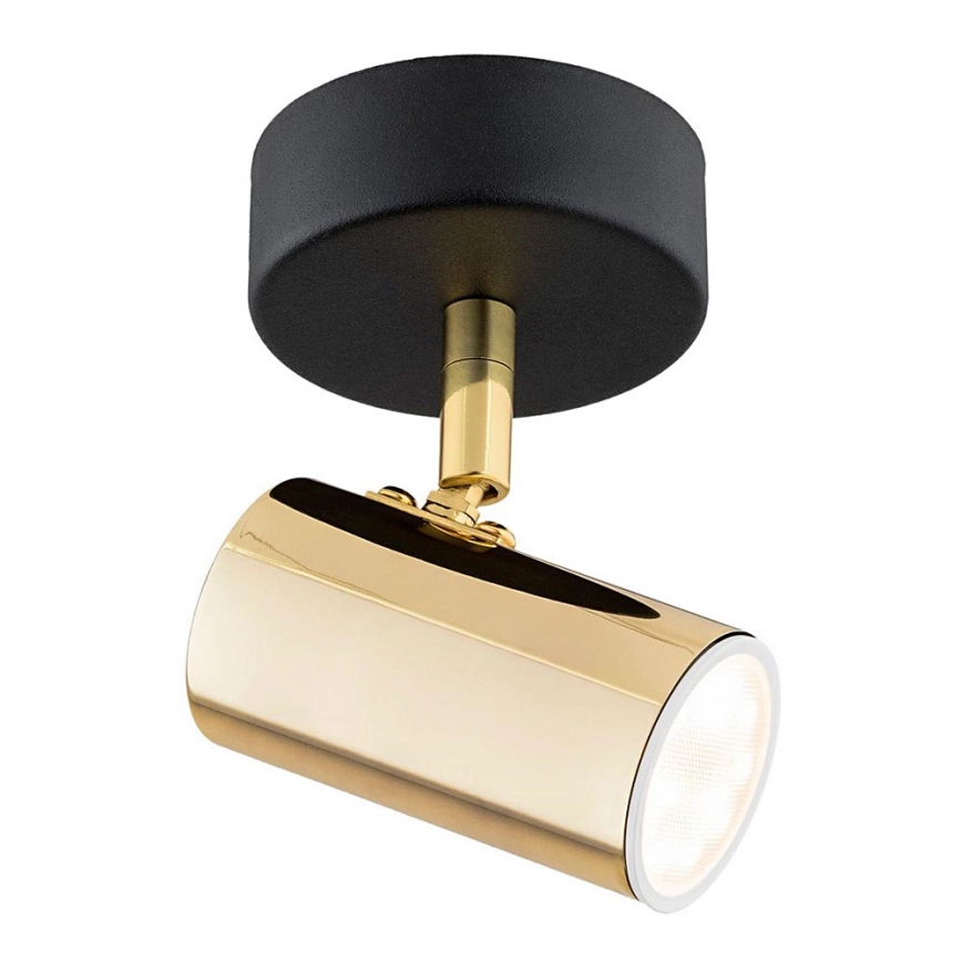 Argon 4208 – Takpotlight LAGOS 1xGU10/5W/230V mässing/svart